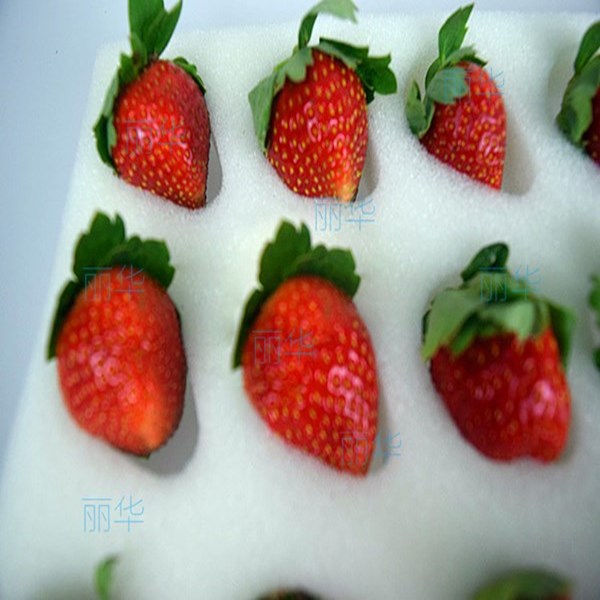 草莓托专用海绵